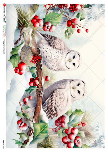 Paper Designs Two Festive Owls A3 Rice Paper