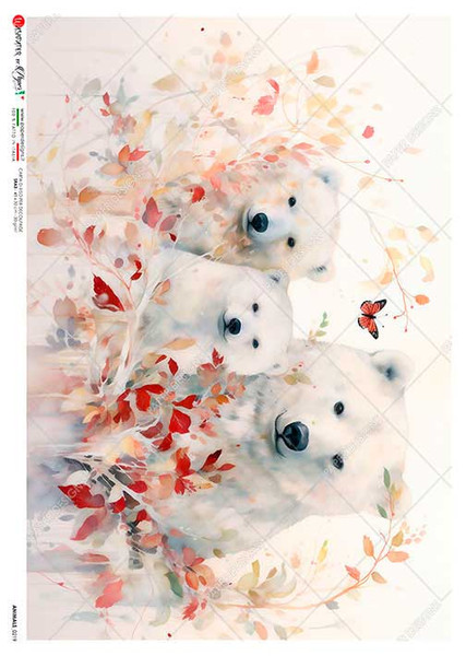Paper Designs Polar Bear Family A2 Rice Paper
