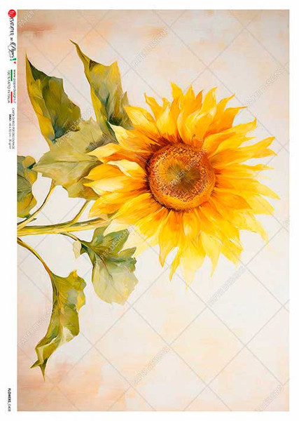 Paper Designs Solo Sunflower A3 Rice Paper