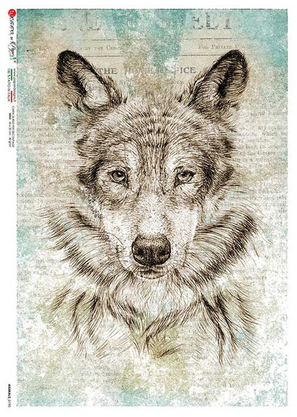 Paper Designs Wolf Dog Sketch Rice Paper