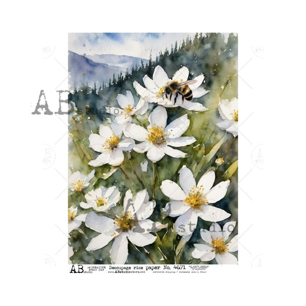 AB Studios Field of White Daisies A4 Rice Paper