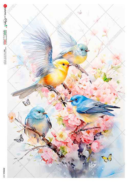 Paper Designs Colorful Birds with Pink Flowers A4 Rice Paper