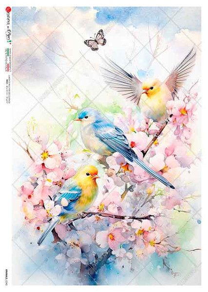 Paper Designs Colorful Birds and Cherry Blossoms A4 Rice Paper