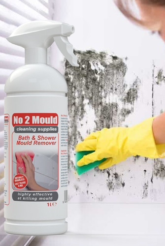 No 2 Mould | effective mould spray and mildew cleaner