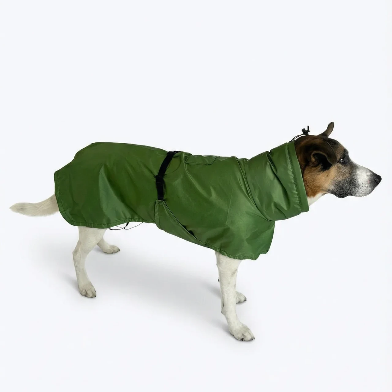 希少！DIESEL 犬服 3S Sundial Dog Traverse Shell | Good Vibes River Gear