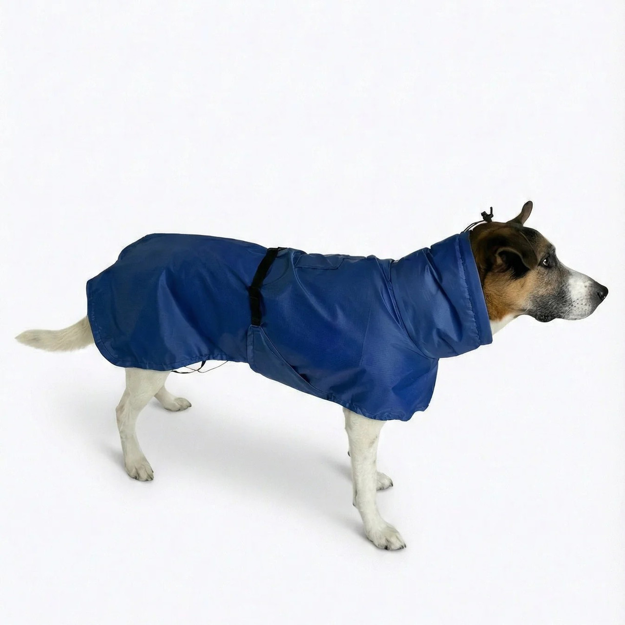 Sundial Dog Traverse Shell | Good Vibes River Gear