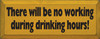 There will Be No Working During Drinking Hours Wood Sign