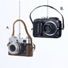 Resin Classic and Digital Camera Ornaments 2.5 in.