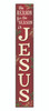 Outdoor Sign - The Reason For The Season Is Jesus - Vertical Porch Sign 8x47