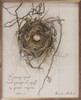 Every Good And Perfect Gift Is From Above James 1:17 with Bird's Nest art - Wood Framed Sign