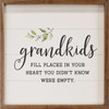Grandkids Fill Places In Your Heart You Didn't Know Were Empty on Wood Framed Wall Sign