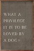 What A Privilege It Is To Be Loved By A Dog on Wood Framed Sign