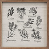 Kitchen Herbs and Spices - Mint, Ginseng, Coriander, Calendula, Thyme, Lavender, Rosemary, Oregano on Wood Framed Wall Art Sign