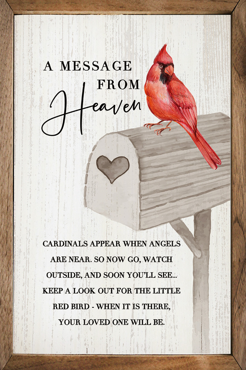 Cardinals as 'messengers from heaven': What does it mean when you