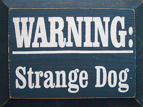 Warning: Strange Dog Wood Sign