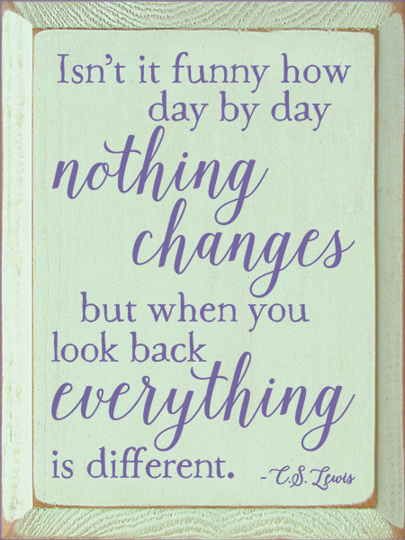 Isn't It Funny How Day By Day Nothing Changes, But When You Look Back Everything Is Different. - CS Lewis Wood Sign
