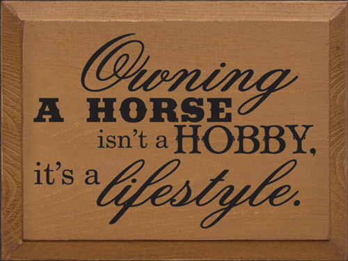 CUSTOM Owning A Horse Isn't A Hobby 9x12