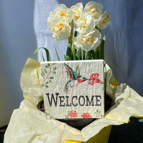 Welcome - Hummingbird - Standing Mini Lawn Sign 4X4