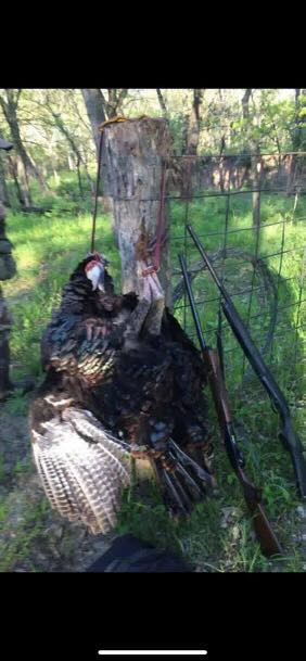 Sling Style Turkey Carrier