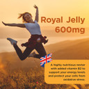 Healthspan Royal Jelly 600Mg (90 Capsules) | Reduce Tiredness & Fatigue | Added Vitamin B2 To Support Energy Levels & Protect Against Oxidative Stress | Minimum 6% Hda | Fatty Acids | Vegetarian