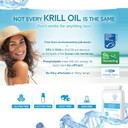 Superba Krill Oil Extract 500Mg 60 Capsules - 100% Pure Cold Pressed Antarctic Eco Harvested