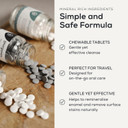 Georganics Mineral Toothtablets - Natural Effervescent Cleansing Tablets with Kaolin Clay - Vegan, SLS, Cruelty and Fluoride Free - Charcoal - 120 Tablets