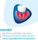 Meridol Parodont Expert Toothpaste 75ml