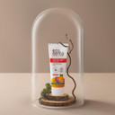 Ecodenta Kids Toothpaste Fluoride Free - Certified Organic Juicy Fruit Natural Childrens Tooth Paste Bubblegum Taste 75ml