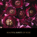 Baylis & Harding Boudoire Rose Luxury Keepsake Box Bathing Treat Gift Set (Pack Of 1) - Vegan Friendly
