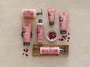 Urtekram Soft Wild Rose - Dare To Dream, Body Wash 500 Ml

Size: 500 Ml (Pack Of 1)