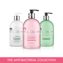 Baylis & Harding Wild Rhubarb & Pink Pepper Anti-Bacterial Hand Wash, 500 Ml (Pack Of 6) - Vegan Friendly