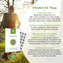 Healthspan Vitamin K2 75µg | 60 Capsules | Bone & Blood Health | Purest & Most Active Form | Vegan