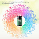 Nfo Multi-Vit Energy [180 Capsules] Norwegian Natural High-Dose Complex Each Vitamin And Mineral In Our Multivitamin Is Calibrated For Maximum Synergy Made In Norway