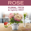 Mrs. Meyer'S Room And Air Freshener Spray, Non-Aerosol Spray Bottle Infused With Essential Oils, Limited Edition Rose, 8 Fl. Oz - Pack Of 38 Fl Oz (Pack Of 3)