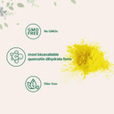 Pure Quercetin Dihydrate Powder, Quercetin 500Mg Per Serving, 100 Grams, Most Bioavailable Grade And Filler Free, Powerful Antioxidant Supports Energy, Immune System , No Gmos And Vegan