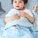 Cute Zebra Baby Blanket, Personalized Custom Boys And Girls Name,Super Soft Double Layer Soft Plush Minky Catch Blanket With Dotted Backing 30 X 40 Incheszebra #1Minky Dot