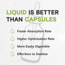 Secrets Of The Tribe Wheatgrass Alcohol Liquid Extract, Wheatgrass (Triticum Aestivum) Dried Leaf (2 Fl Oz)