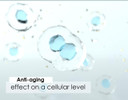Bio-Selenoq10 Supplement | Anti Aging: We Really Did It | Longevity Formula Backed By Research | Slows Cellular Aging | Get The Products Used In Research | Coq10 100Mg 60Gels, Selenium 100Mcg 60 Tabs