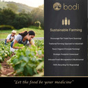 Bodi : Agrimony Leaf Extract 10:1 Powder | 4Oz To 5Lb | 100% Pure Natural Hand Crafted (1 Lb)