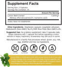 Brain Forza European Lemon Balm Extract Capsules - Standardized Extract 5% Rosmarinic Acid, 90 Capsules