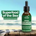 Country Farms Irish Sea Moss Liquid, Supports Beautiful Skin, Cleans And Detoxify, Immune Support, Promotes Healthy Gut, Promotes Natural Energy Levels, Burdock, Irish Moss And Bladderwrack, 2 Fl Oz