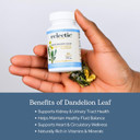 Eclectic Institute Raw Freeze-Dried Dandelion Leaf | Organic Supplement To Support Cleansing & Digestive Function | 90 Ct (200 Mg)
