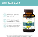 Himalaya Organic Amla Natural Antioxidant For Immune Support, 60 Caplets, 1 Month Supply60 Count (Pack Of 1)