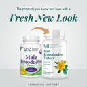 Michael'S Health Naturopathic Programs Male Reproductive Factors - 60 Vegetarian Tablets - Nutrients To Support Male Fertility - Kosher - 20 Servings