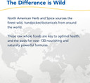 North American Herb & Spice Oregashield - 2 Oz - Skin & Membrane Support - Wild Spice Oils In A Beeswax Base - Lasts Up To 24 Hours - Non-Gmo