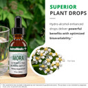 Nutramedix Mora Yarrow Extract - Yarrow Herb, Blackberry Leaves And Capirona Bark Extract For Digestive Health, Gut Support & Healthy Inflammatory Response (1Oz / 60Ml)