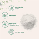 Pure L-Theanine Powder, 100 Grams (1 Year Supply), Filler Free, No Gmos And Vegan Friendly