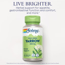 Solaray Yarrow 320 Mg, Whole Aerial, Herbal Appetite And Gastrointestinal Function And Comfort Support, Lab Verified, 60-Day Money-Back Guarantee, 100 Servings, 100 Vegcaps