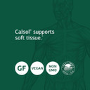 Standard Process Calsol - Provides Skeleton, Digestive, Muscle, And Gallbladder Support With Whole Food Calcium, Phosphorus, And Magnesium Citrate - Vegan, Vegetarian, Gluten Free - 90 Tablets