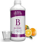 Buried Treasure B Complete High Potency All B Vitamins Liquid Supplement For Stress, Energy And Healthy Immune Support Vegan Non-Gmo, 16 Oz W/ Dose Cup